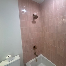 Bathroom-Remodeling-Job-Performed-in-Denver-CO 4